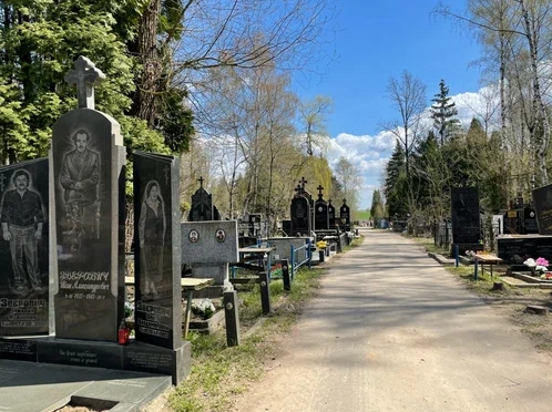 Чижовское кладбище